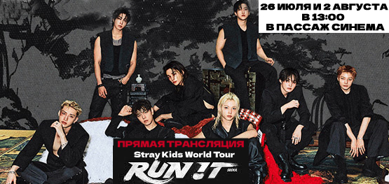 Прямая трансляция Stray Kids World Tour <RUN IT SEOUL>