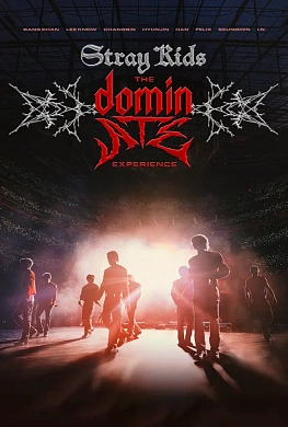 STRAY KIDS: THE DOMINATE EXPERIENCE
